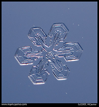 Snow Crystal