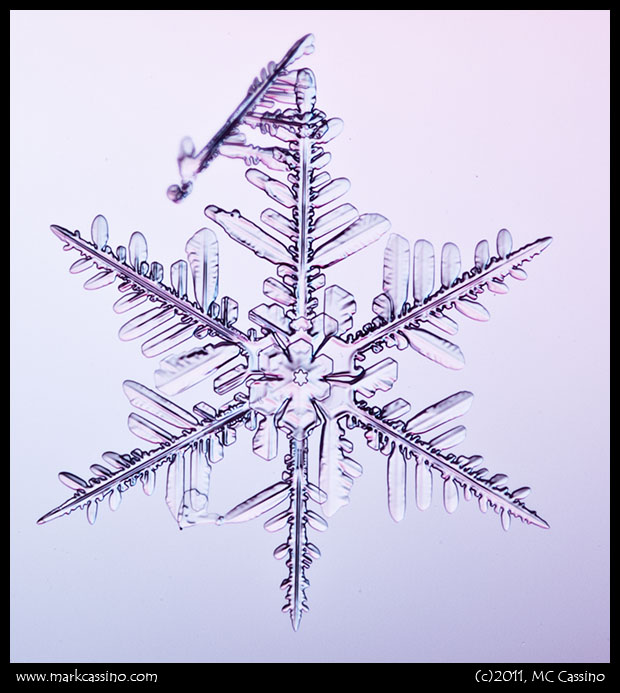 Snow Crystal Photograph Snow Crystal Photograph