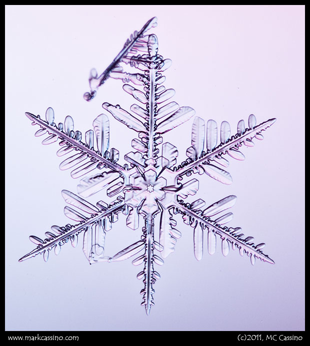 Snow Crystal Photograph