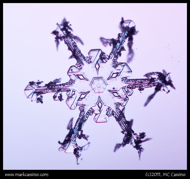 Snow Crystal Photograph