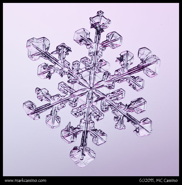 Snow Crystal Photograph Snow Crystal Photograph
