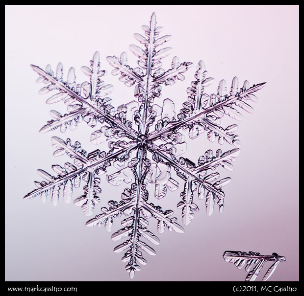 Snow Crystal Photograph Snow Crystal Photograph
