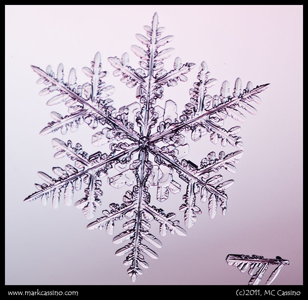 Snow Crystal Photograph