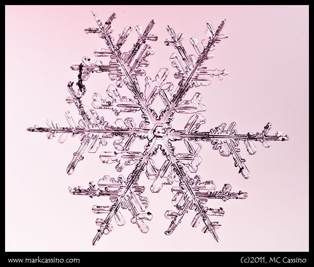 Snow Crystal Photograph Snow Crystal Photograph