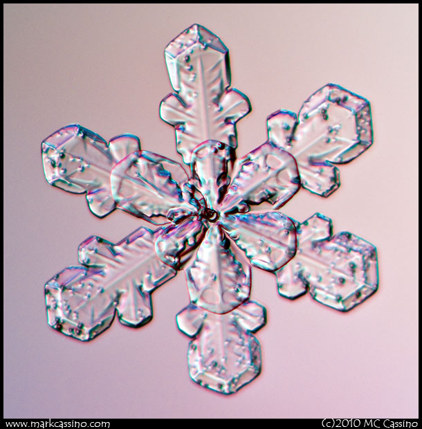 Snow Crystal Photograph