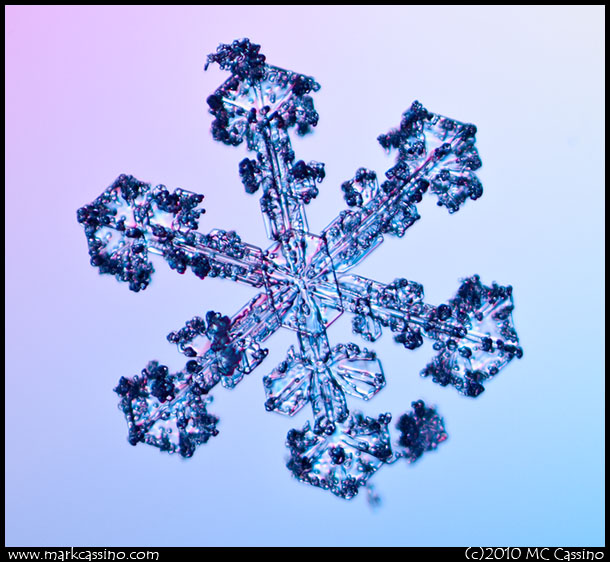 Snow Crystal Photograph