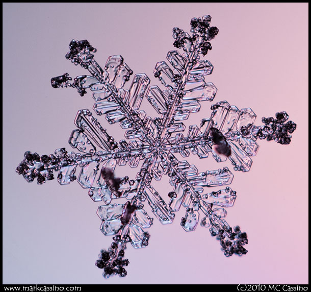 Snow Crystal Photograph