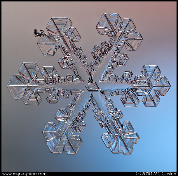Snow Crystal Photo Snow Crystal Photo