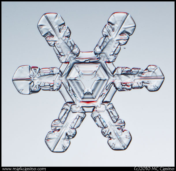 Snowflake Photograph Snow Crystal Photograph