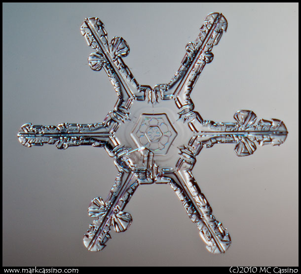 Snow Crystal Photograph