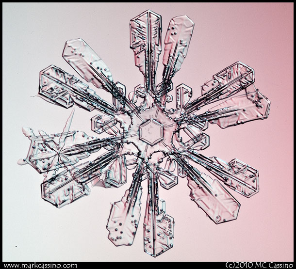 Snowflake Photograph