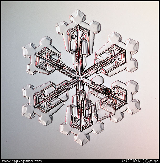 Snowflake Photograph