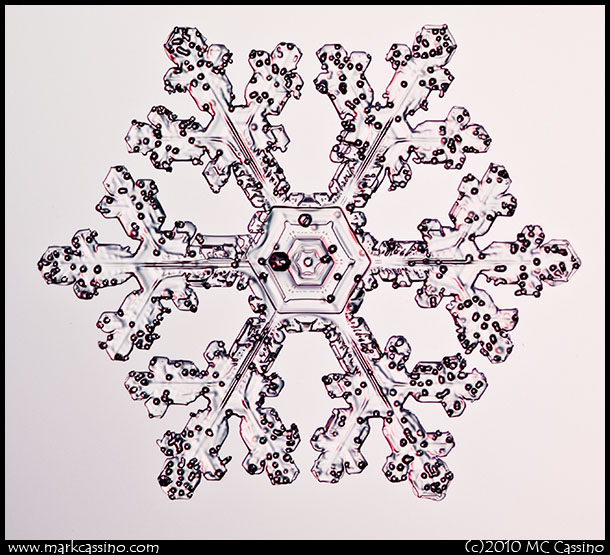 Snowflake Photograph