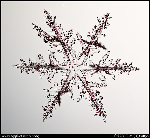 Snow Crystal Photograph Snowflake Photograph