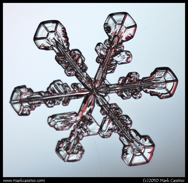 Photograph of a Snowflake Snow Crystal Photograph