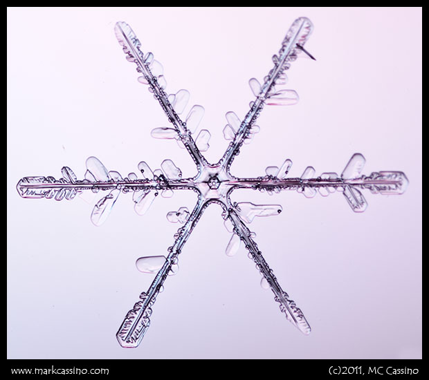 Snow Crystal Photograph