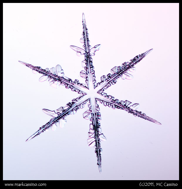 Snow Crystal Photograph