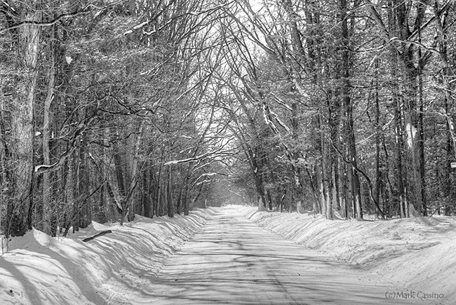 Black and white film photo of a snow covered road in the Allegan Forest