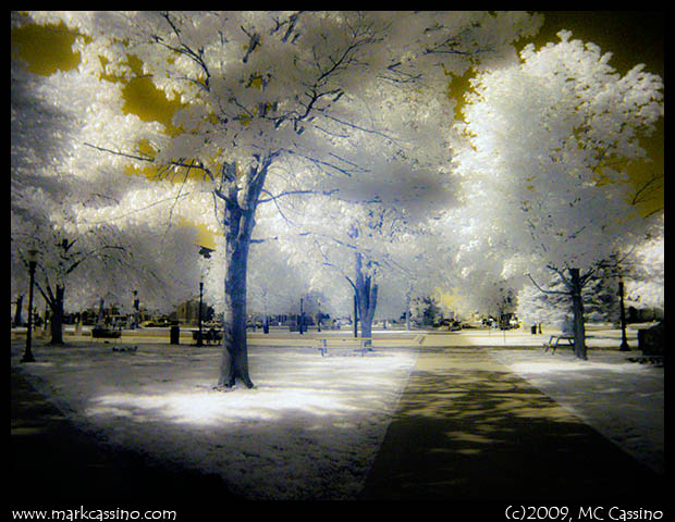 Bronaon Park Bronson Park