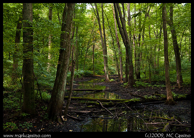Cresent Pond Crescent Pond