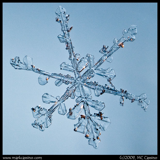 Snow Crystal Photo