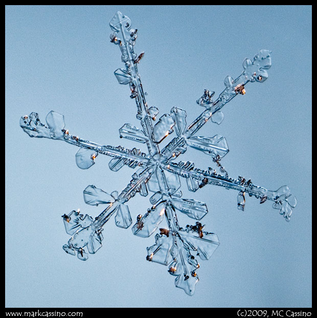 Snow Crystal Photo Snow Crystal Photo