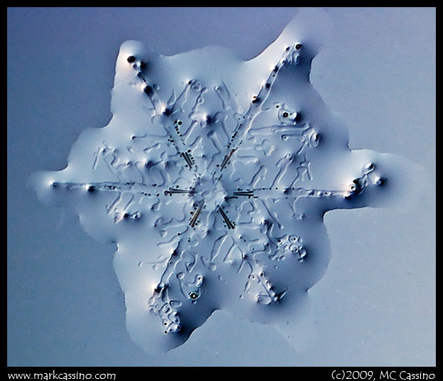 Melting Snow Crystal