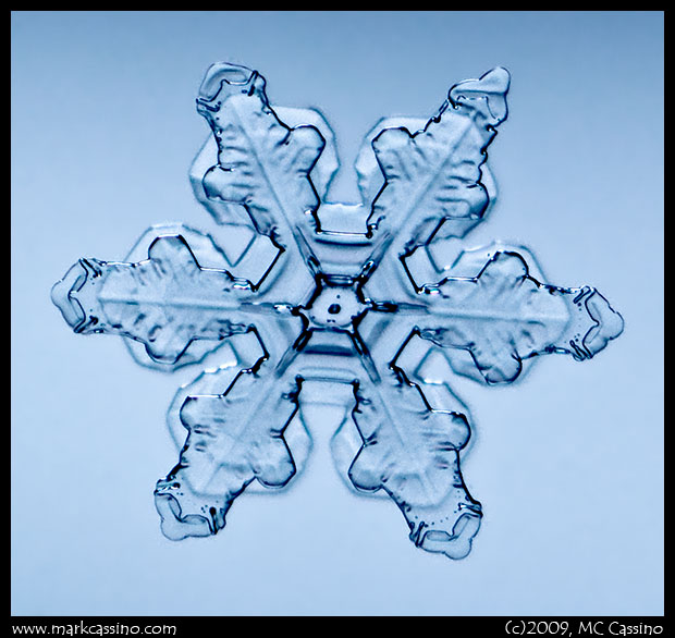 Snow Crystal Photo