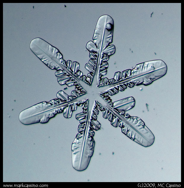 Snow Crystal Photo Snow Crystal Photo