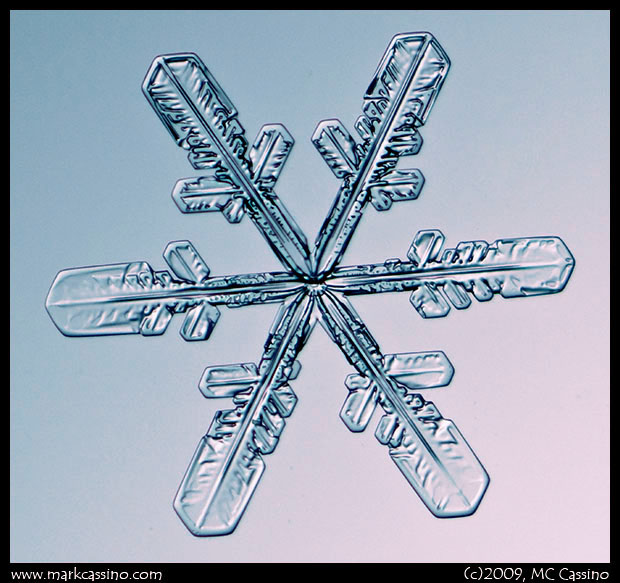 Snow Crystal Photograph