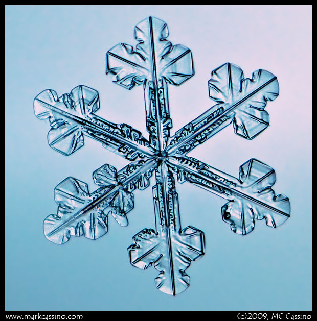 Snow Crystal Photograph