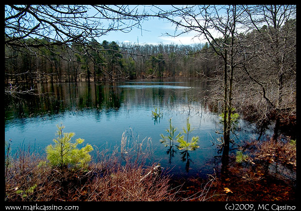 Seasonal Pond Season Pond