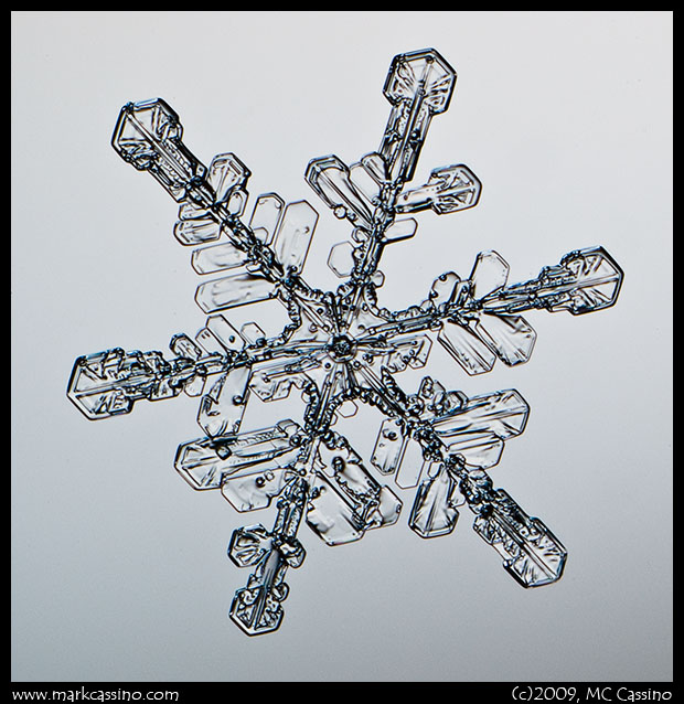 Snowflake Photograph Snowflake Photograph