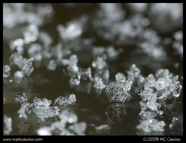 Dusty bits of sleet and snow Dusty bits of sleet and snow