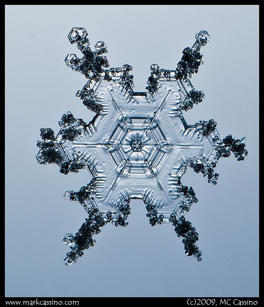 Snow Crystal Photograph