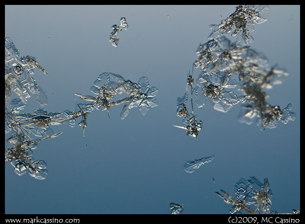 Snow Crystal Photograph