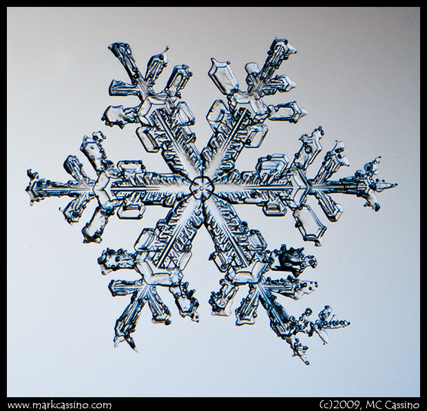 Snowflake Photograph