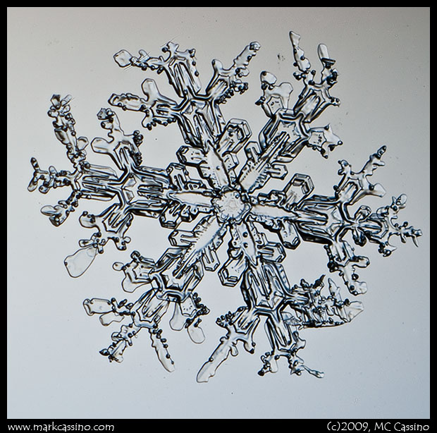 Snowflake Photograph