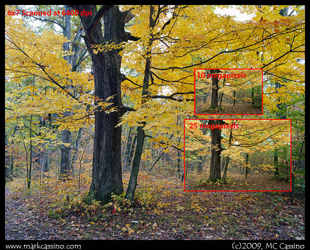 Image Size Comparison - Medium Format vs. Digital