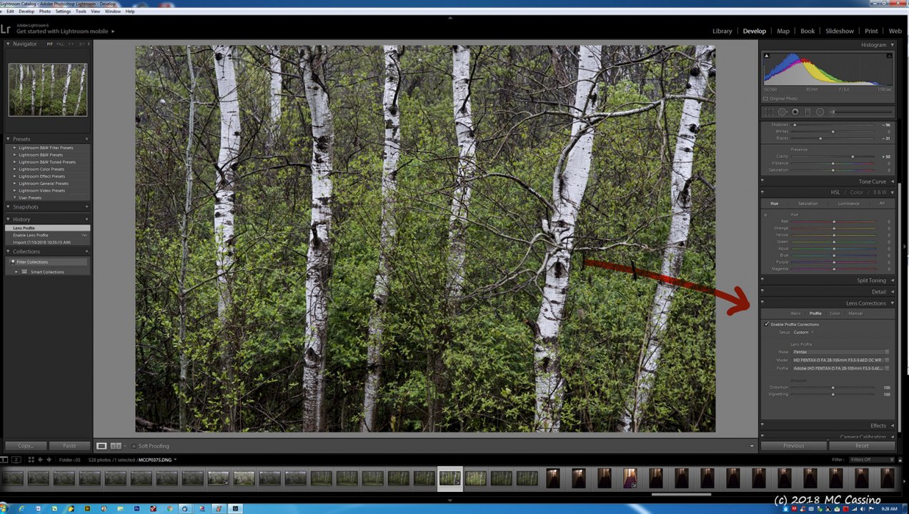 Lens Correction in ACR 9.1.1 and LR 6.0