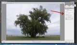 Lens Correction in ACR 9.1.1 and LR 6.0