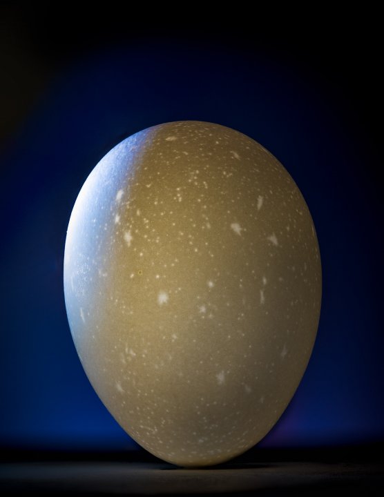 Cosmic Egg Cosmic Egg