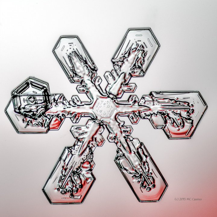 Snowflake - January 2015