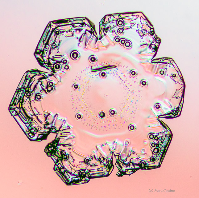 Irregular Plate Snowflake / Snow Crystal