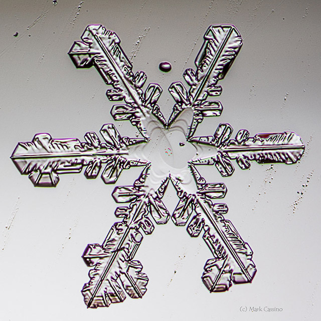 Snowflake Photograph