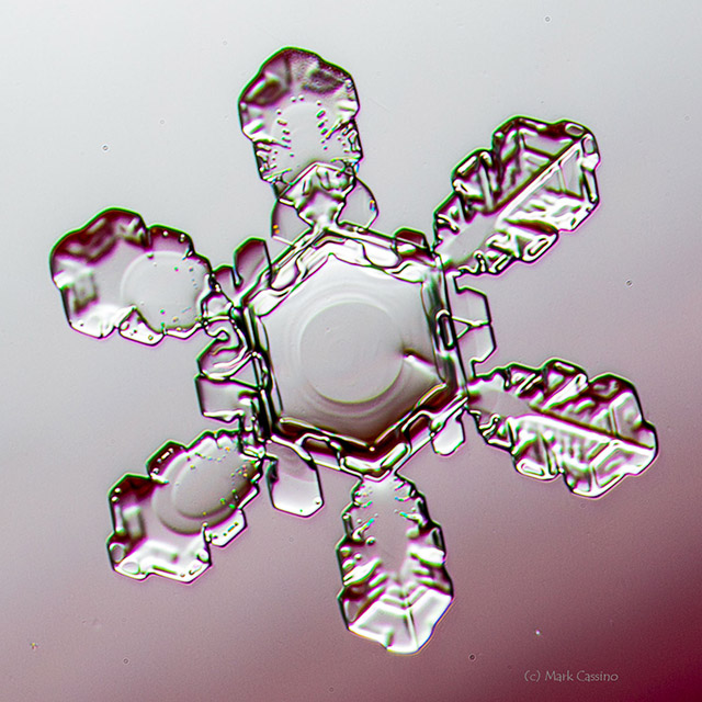 Snowflake Photograph