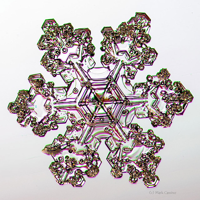 Snowflake Photograph