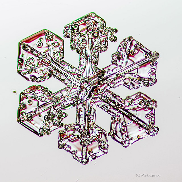 Snowflake Photograph