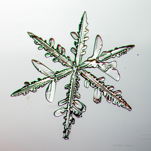 Snowflake Photograph