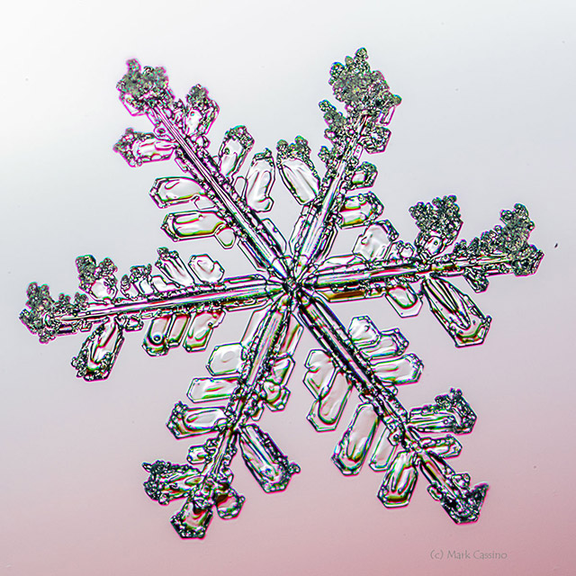 Snowflake Photograph